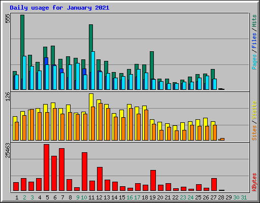 Daily usage for January 2021