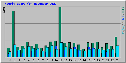 Hourly usage for November 2020