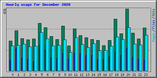 Hourly usage for December 2020