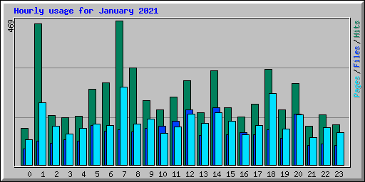 Hourly usage for January 2021